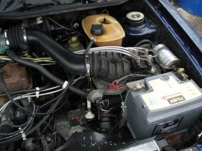 IMGP0193.JPG