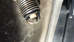 20160609_181631.jpg