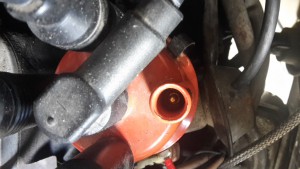 20160629_095445.jpg