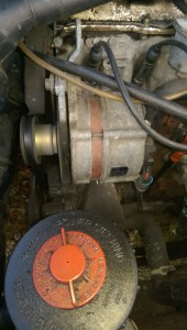 IMAG0127.jpg