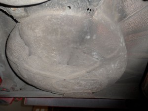 46fbe184-bedd-11e6-9c10-5cdbf34a9ba8.jpg