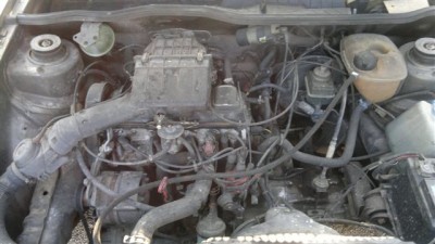 04082011241.jpg