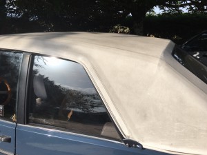 IMG_1754.JPG