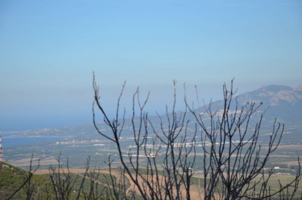 745439dsc0323.jpg