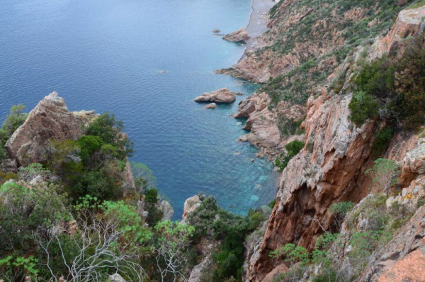 431545dsc0564.jpg