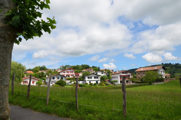 215680dsc0263.jpg