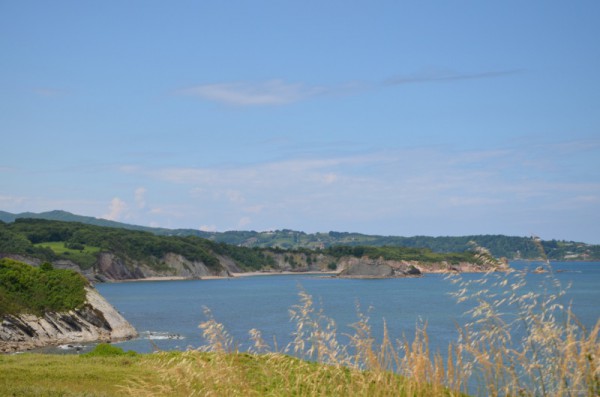 529696dsc0292.jpg