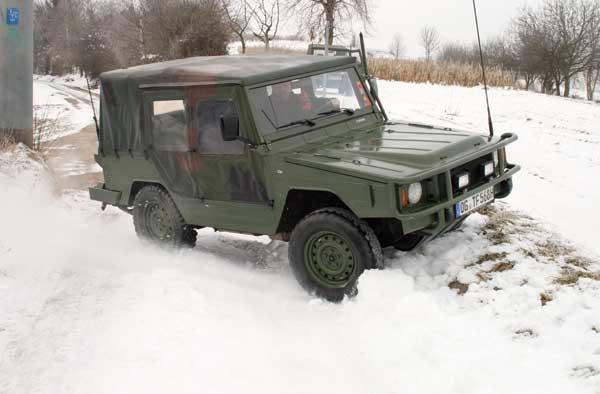 176iltis.jpg