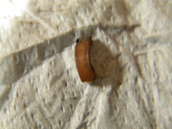 bakyli11.jpg