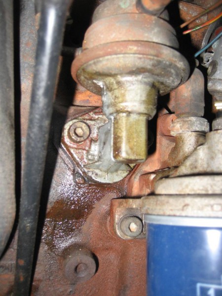 259354img6895.jpg