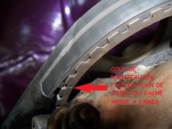 1324081012872copie.jpg