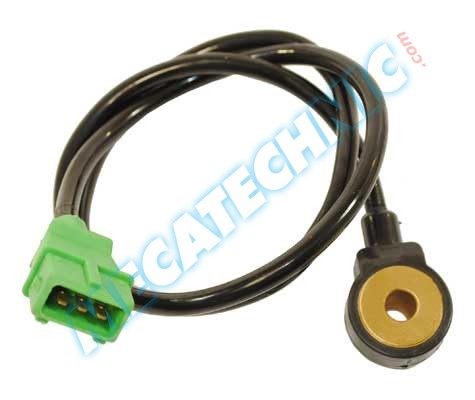 495904capteur.jpg