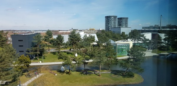 20180321_124919.jpg