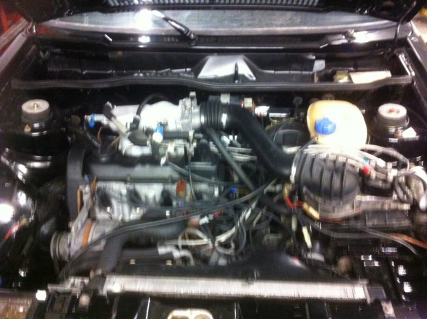 IMG_1391[1].JPG