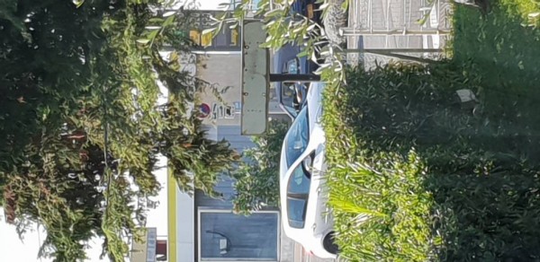 20180821_100356.jpeg