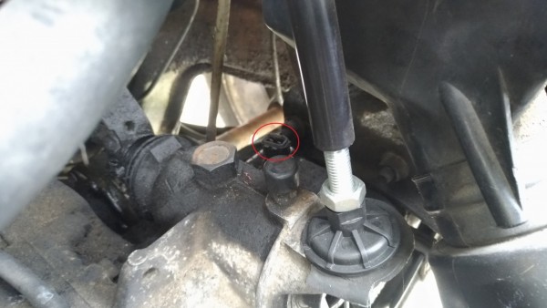 P_20190510_150255_vHDR_Auto.jpg
