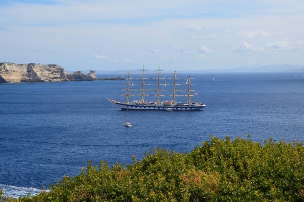 DSC_6763.JPG