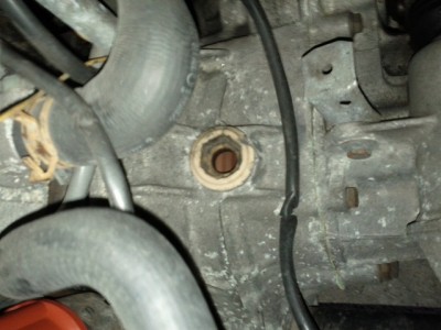 IMG_20120213_161211.jpg