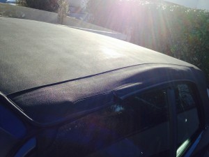 IMG_0709.JPG