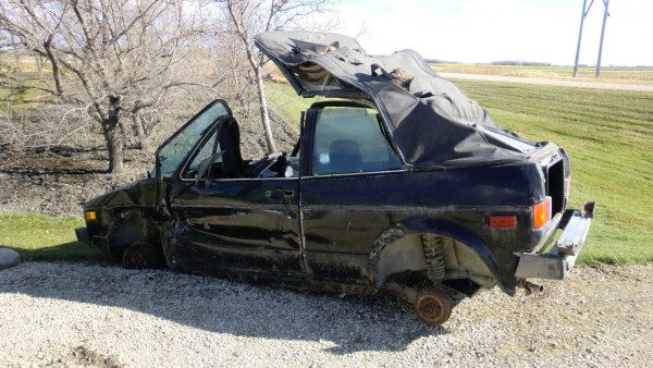 wrecked rabbit.JPG