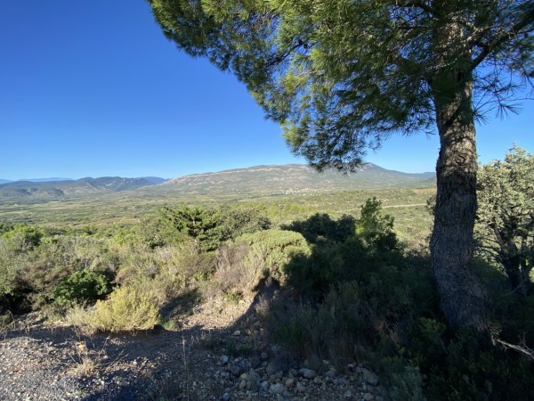 Photo 24-09-2023 10 06 23.jpg