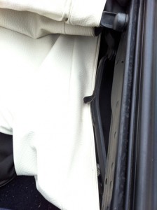 IMG_3725_2.jpg